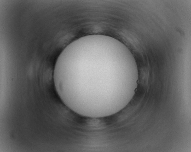 X0000116820230200912312022