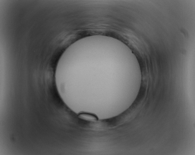 X0000116820231200912312022