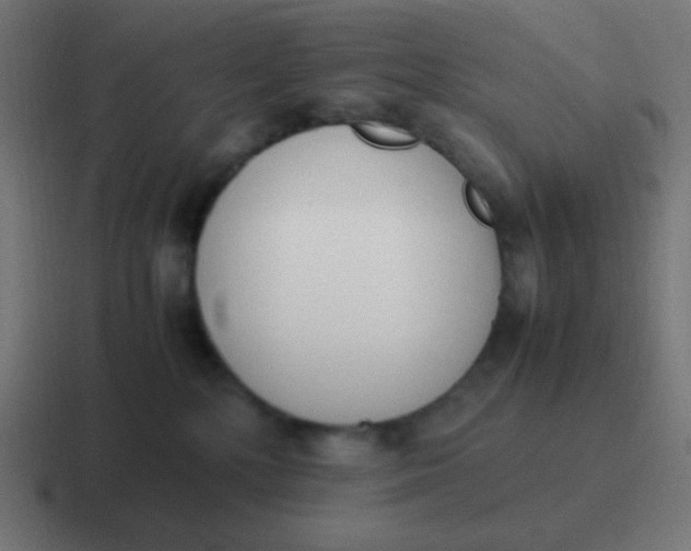 X0000116820232200912312022