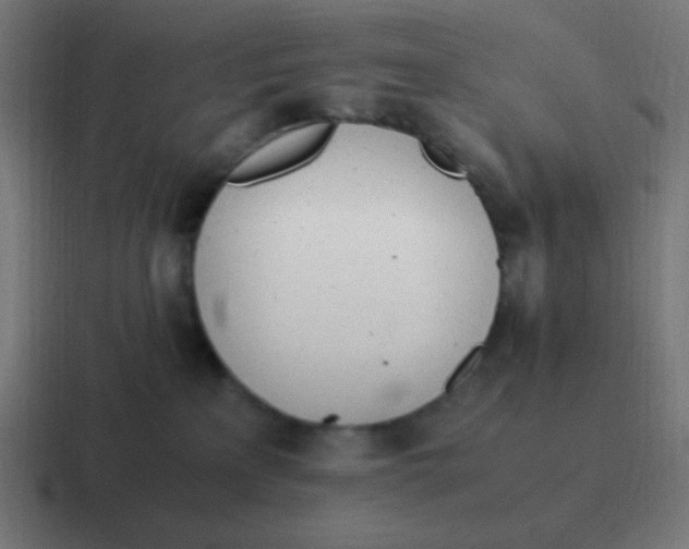 X0000116820233200912312022