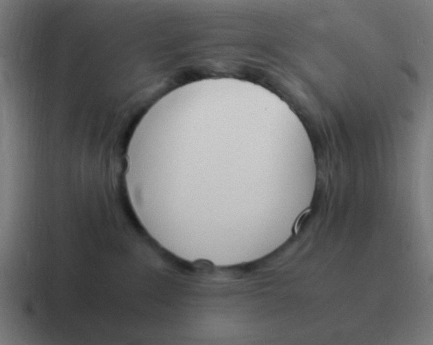 X0000116820235200912312022