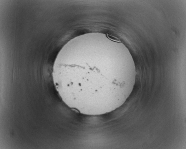 X0000116820237200912312021