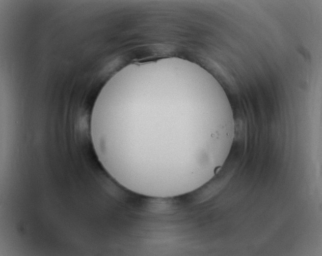 X0000116820238200912312021