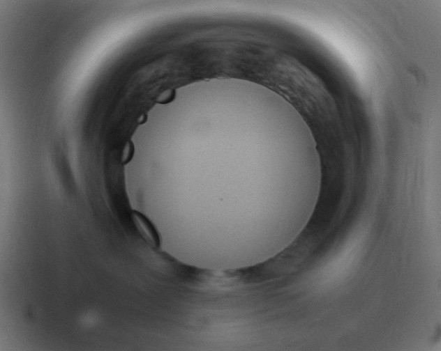 X0000116820239200912312021