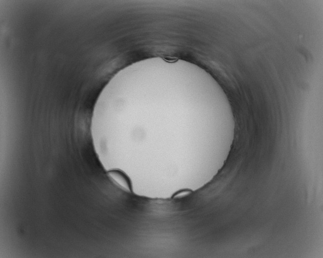 X0000116820240200912312021