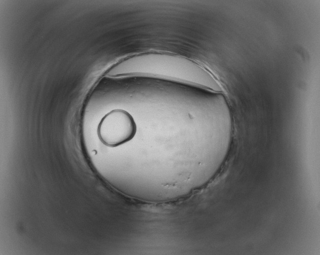 X0000116820241200912312021