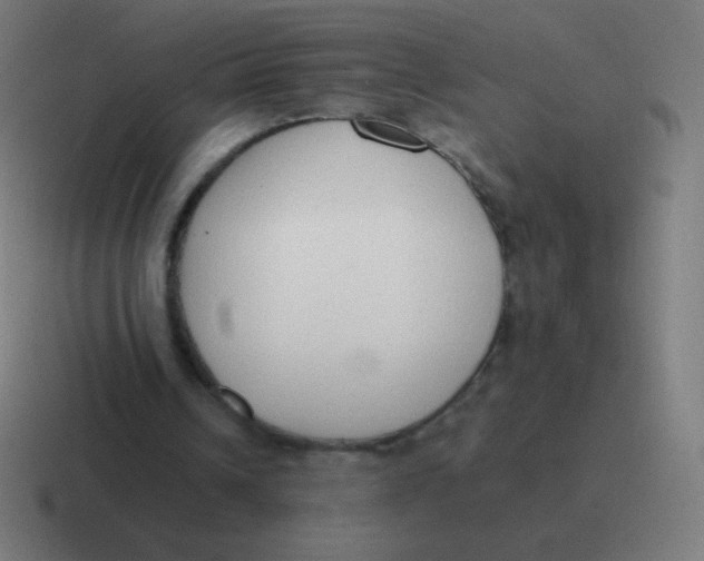 X0000116820242200912312021