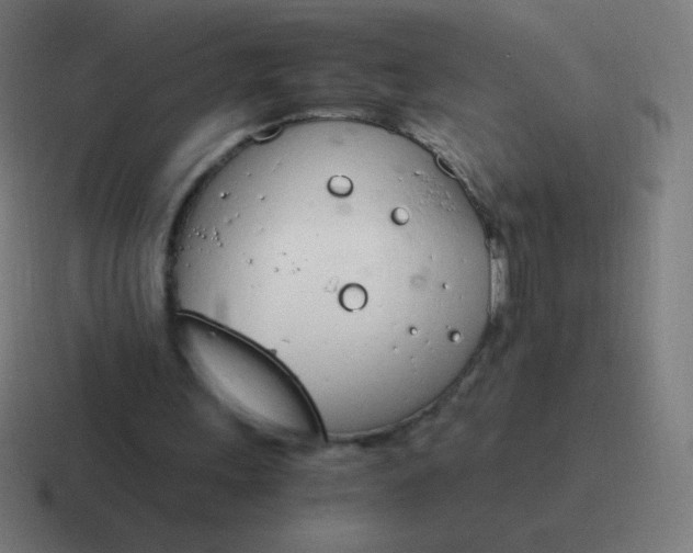 X0000116820243200912312021