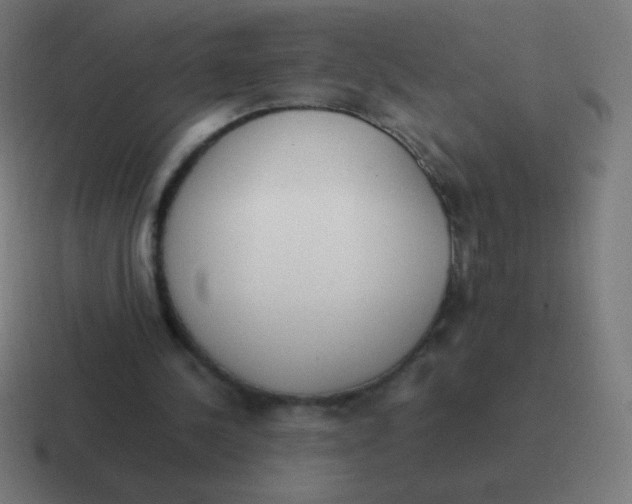 X0000116820244200912312021