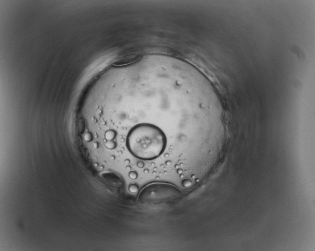 X0000116820245200912312021