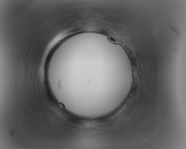 X0000116820246200912312021