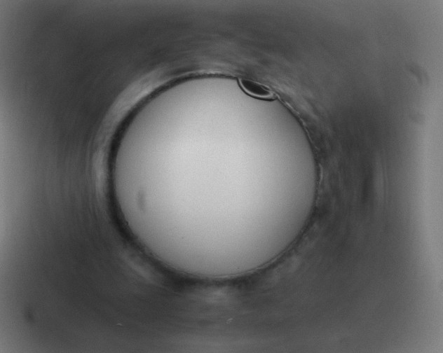 X0000116820247200912312021