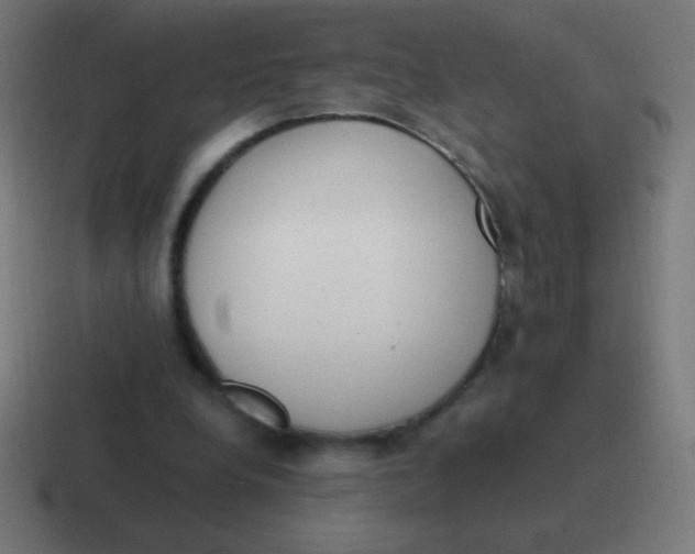 X0000116820248200912312021