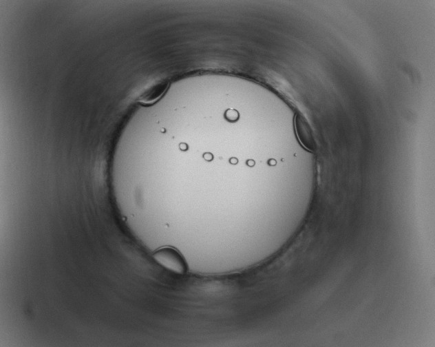 X0000116820249200912312021