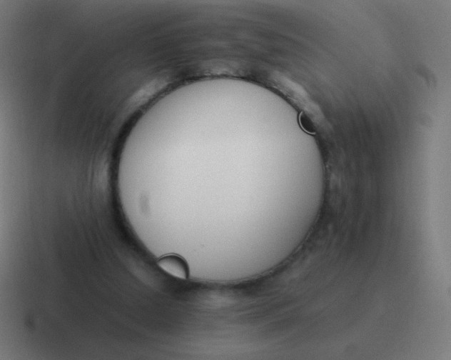 X0000116820250200912312021