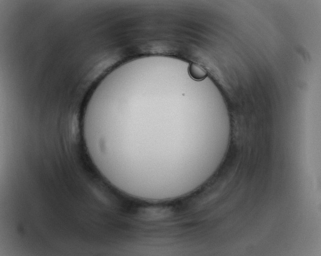 X0000116820251200912312021