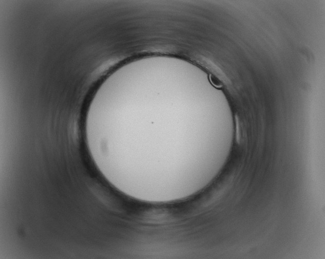 X0000116820252200912312021