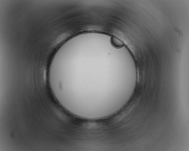 X0000116820253200912312021