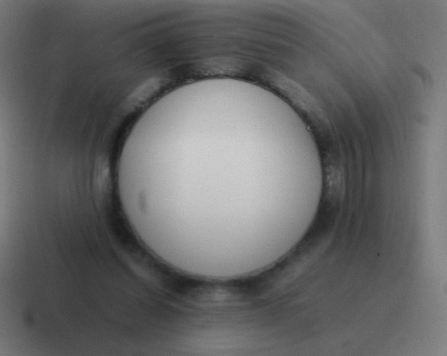 X0000116820254200912312021