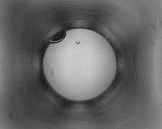 X0000116820255200912312021