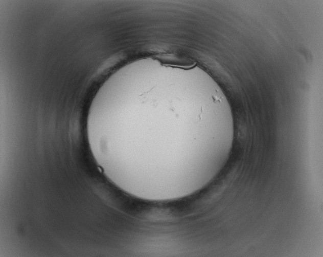 X0000116820256200912312021