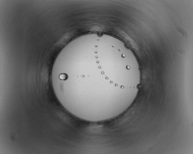 X0000116820257200912312021