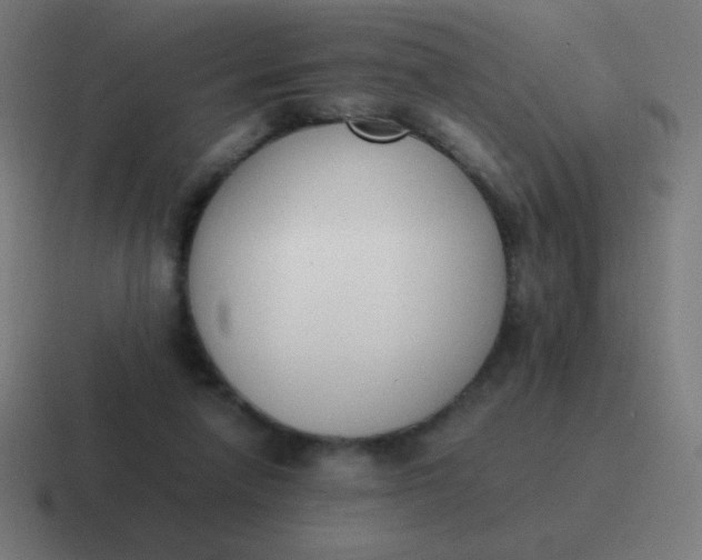 X0000116820258200912312021