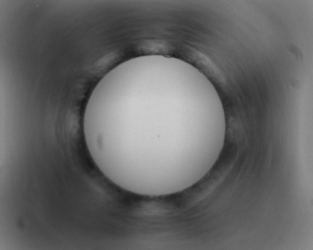 X0000116820259200912312021