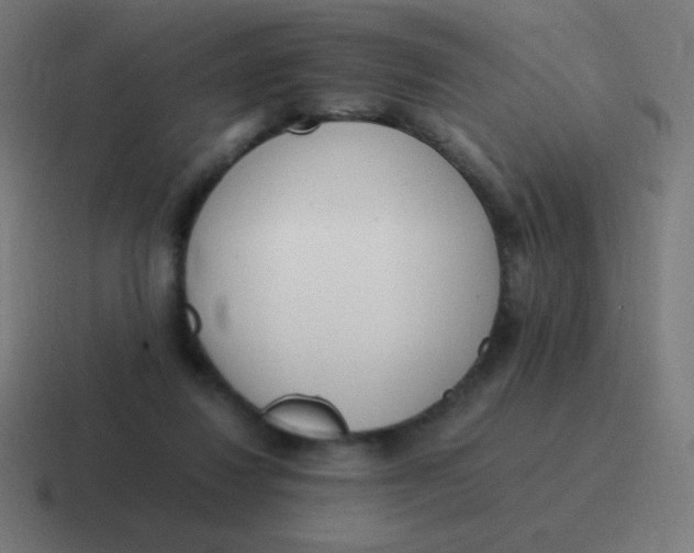 X0000116820260200912312021