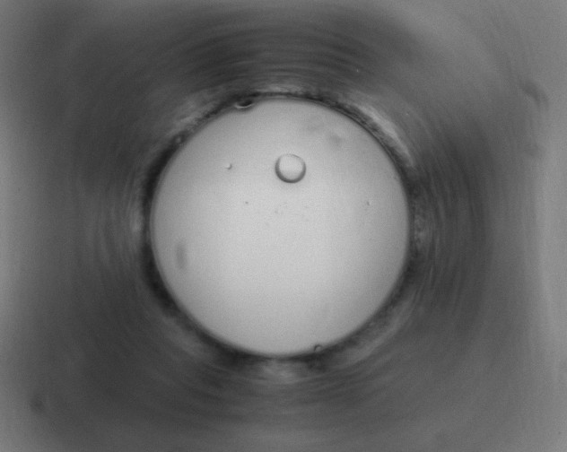 X0000116820261200912312021