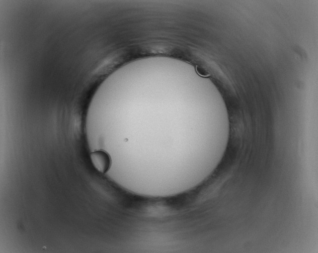 X0000116820262200912312021