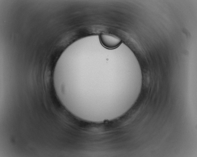 X0000116820263200912312021