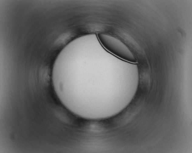 X0000116820264200912312021