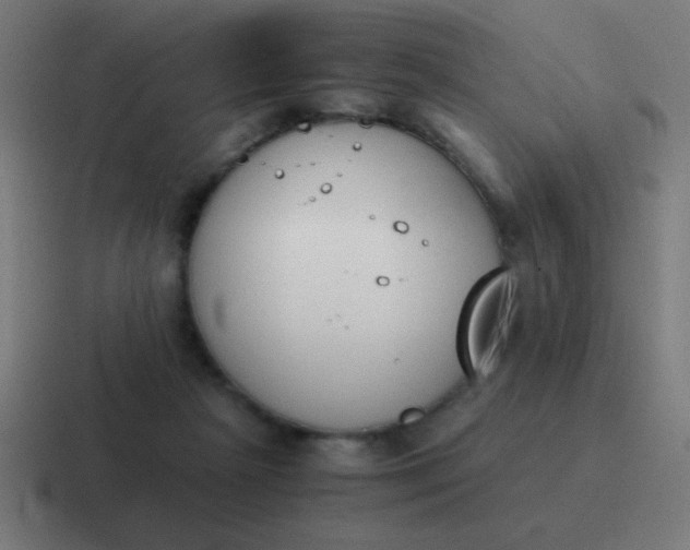 X0000116820265200912312021