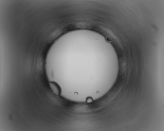 X0000116820266200912312021