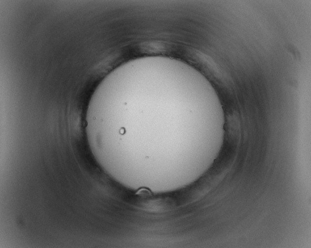 X0000116820267200912312021