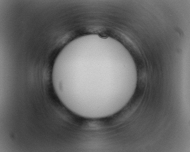 X0000116820268200912312021