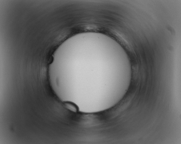 X0000116820269200912312021