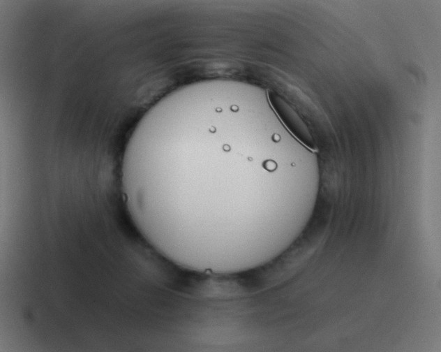 X0000116820270200912312021