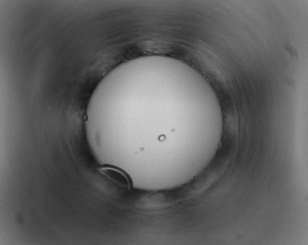 X0000116820271200912312021