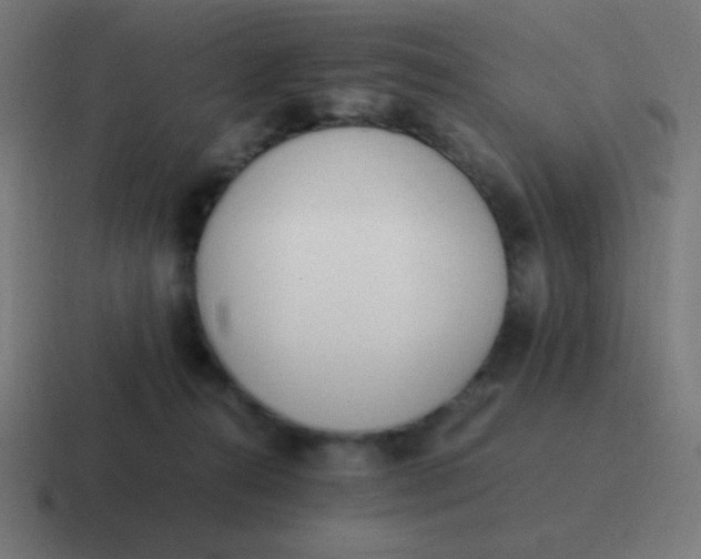 X0000116820272200912312021