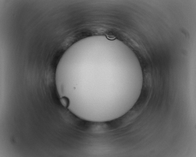 X0000116820274200912312021