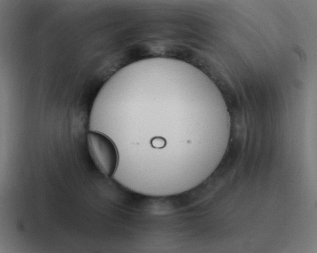 X0000116820275200912312021