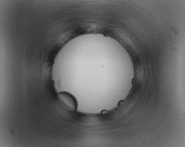 X0000116820276200912312021