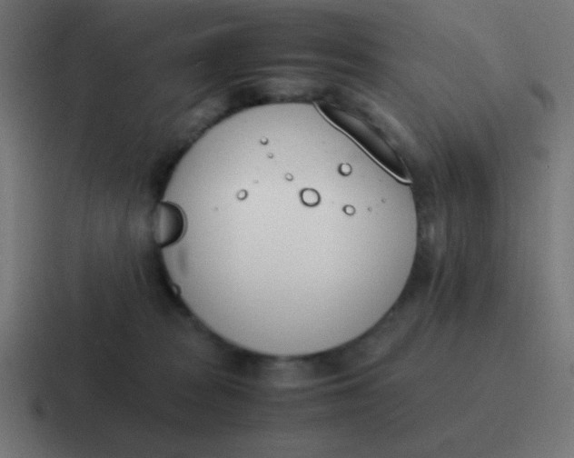 X0000116820277200912312021