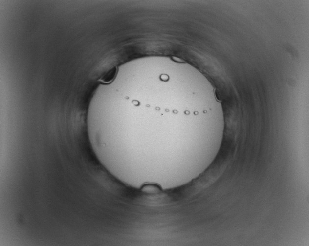 X0000116820278200912312021