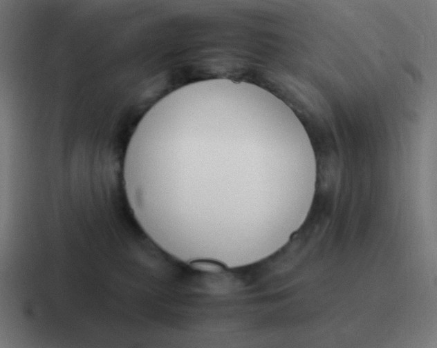 X0000116820279200912312021