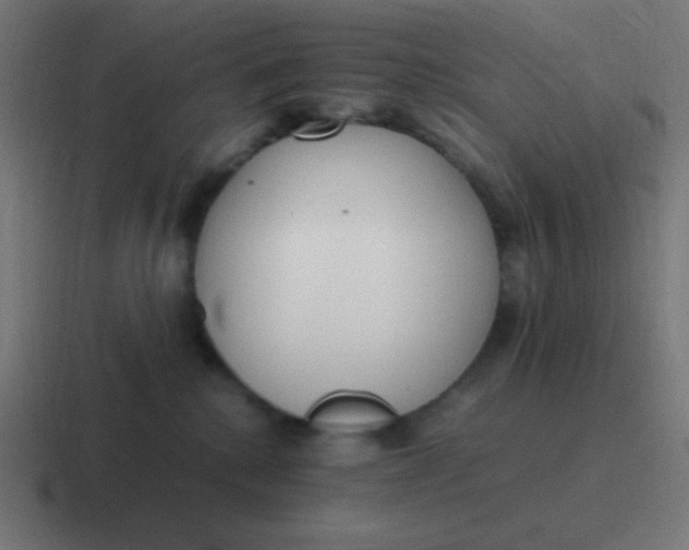 X0000116820280200912312021