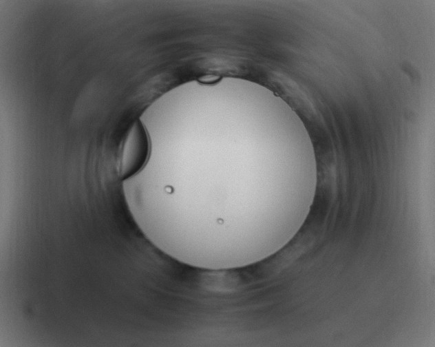 X0000116820281200912312021