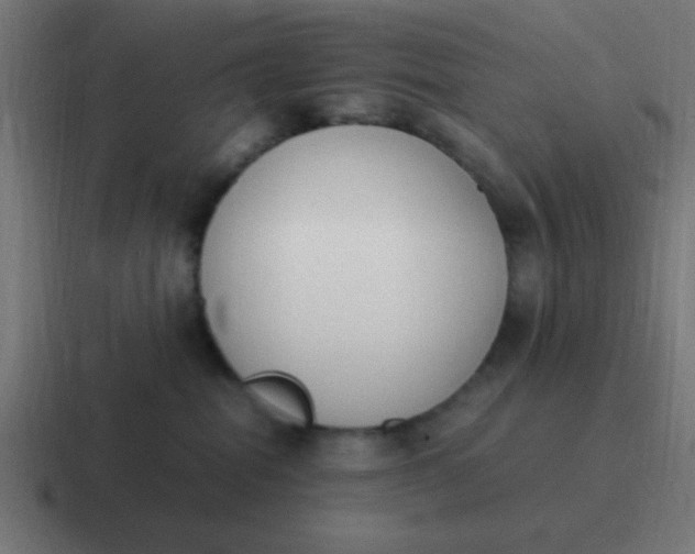 X0000116820282200912312021